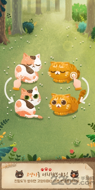 猫和秘密之森游戏下载