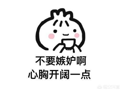 游戏《雨中冒险2》steam好评率95%，中国玩家都在求中文，对此你怎么看？图14