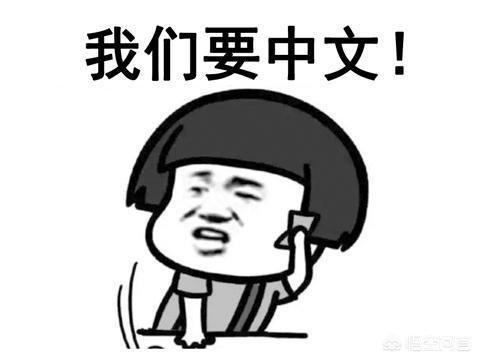 游戏《雨中冒险2》steam好评率95%，中国玩家都在求中文，对此你怎么看？图3